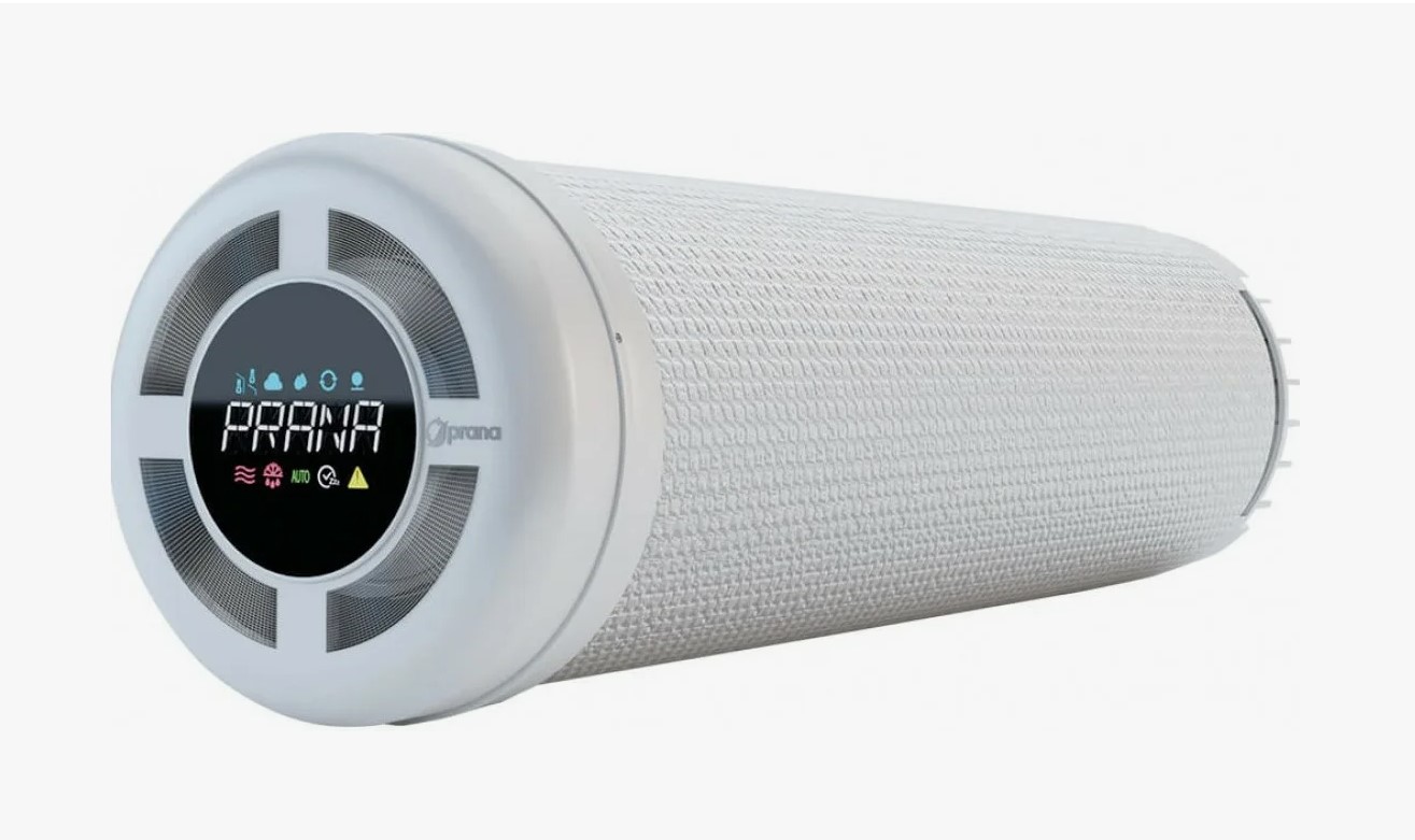 Портрет человека